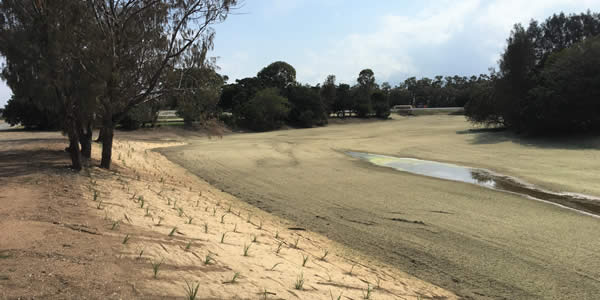 BP Site Stormwater Drainage Works